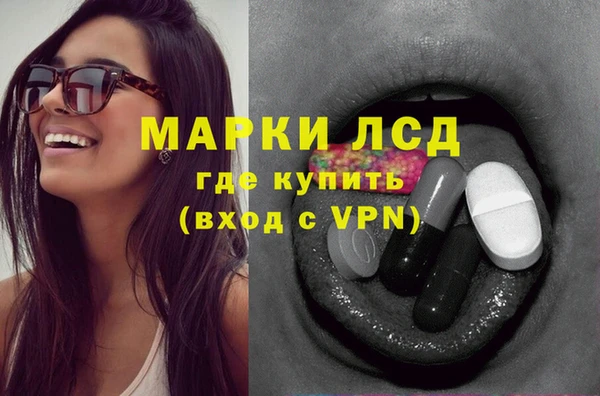 гидра Алзамай