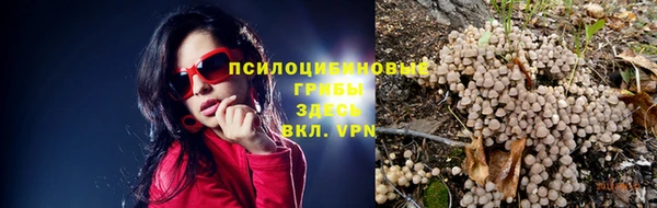 MDMA Алексин