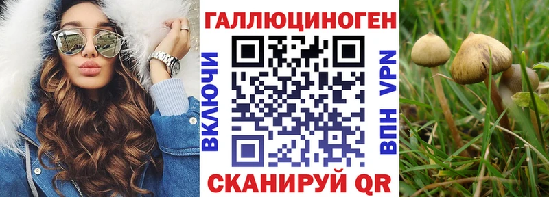 мориарти какой сайт  Ивангород  Псилоцибиновые грибы прущие грибы 